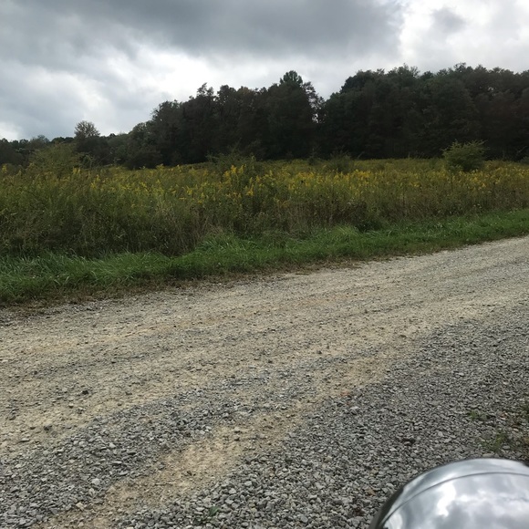 Meet your Posher, Jake - Picture 5 of 8